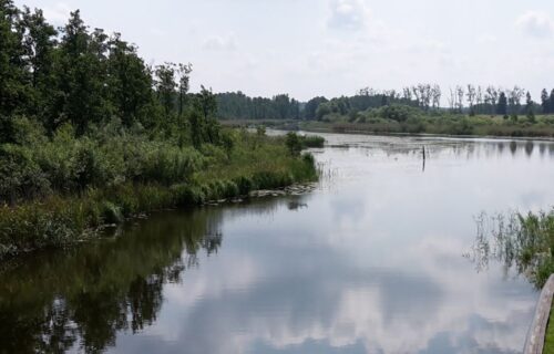 mkiś, odra, park narodowy, rolnicy