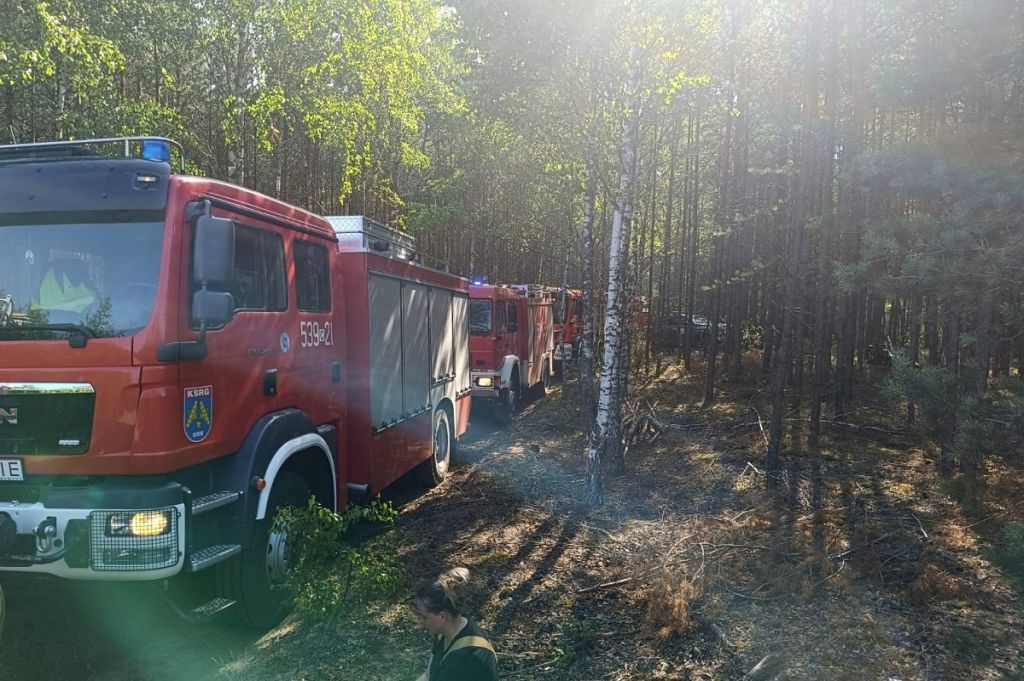 las, pożar lasu, samoloty gaśnicze, dzieci