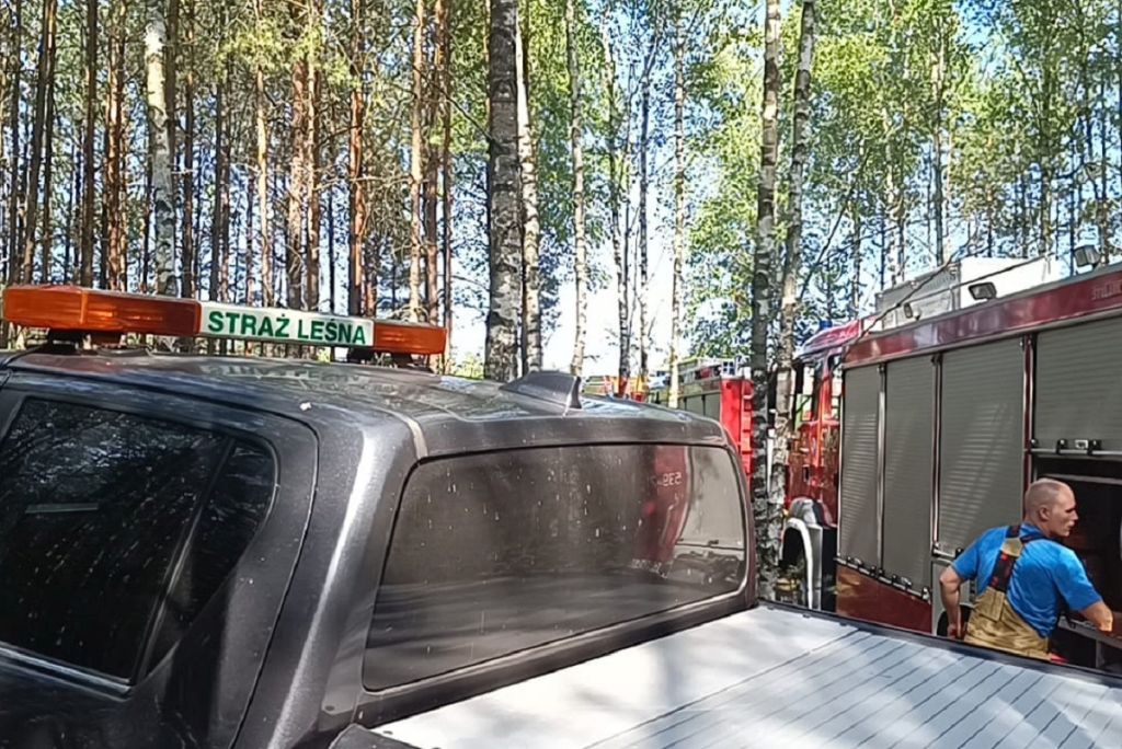 las, pożar lasu, samoloty gaśnicze, dzieci