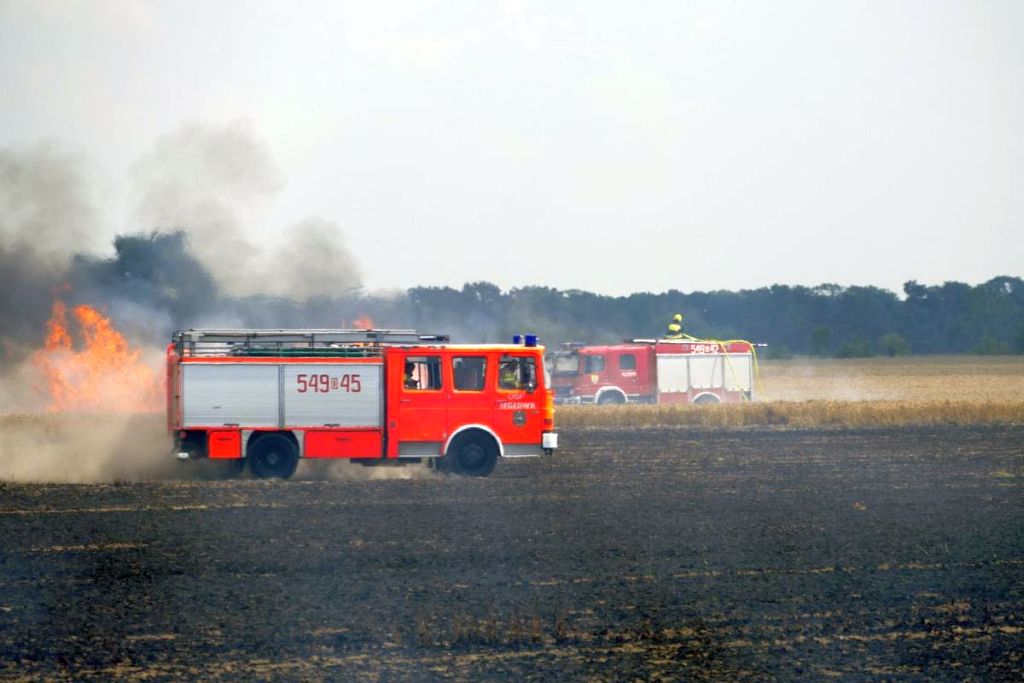 pożar, zboże, pszenica, straty