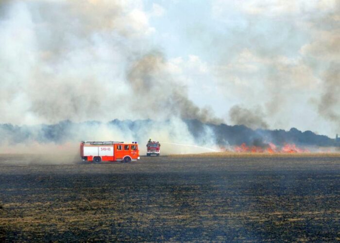 pożar, zboże, pszenica, straty