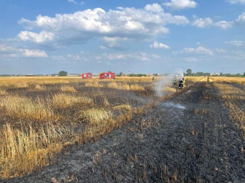 pożar zboża, pożar pola, straty, podpalenie