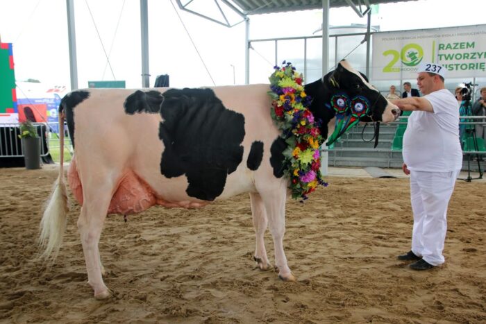 Ogólnopolska Wystawa Bydła Hodowlanego, bydło mleczne, krowy mleczne,G/G Rubicon Elka, Gałopol, superczempion