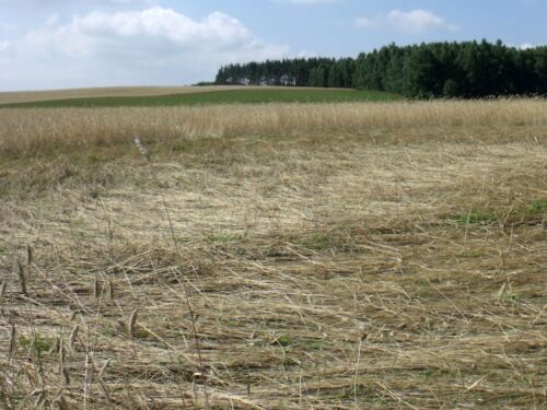 rada ministrów, pomoc, rolnicy, klęski żywiołowe