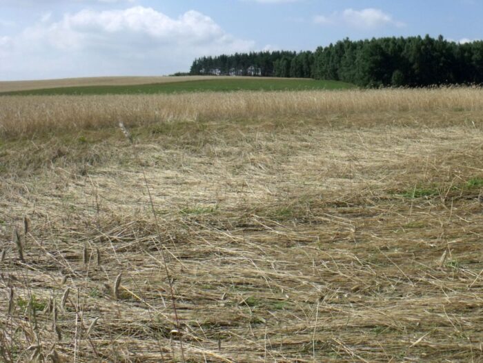 rada ministrów, pomoc, rolnicy, klęski żywiołowe