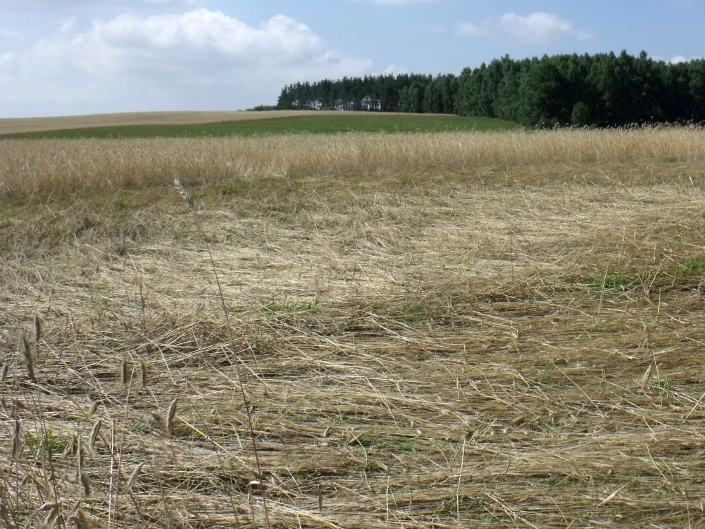 rada ministrów, pomoc, rolnicy, klęski żywiołowe