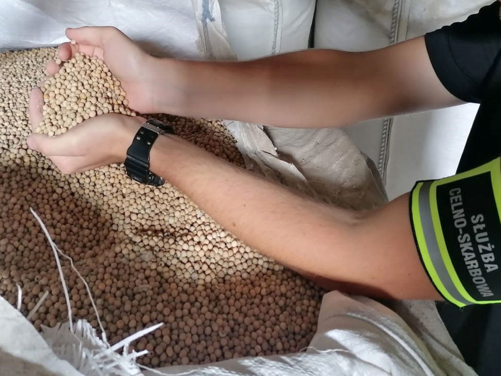 paszyk, psl, psl-td, afera zbożowa