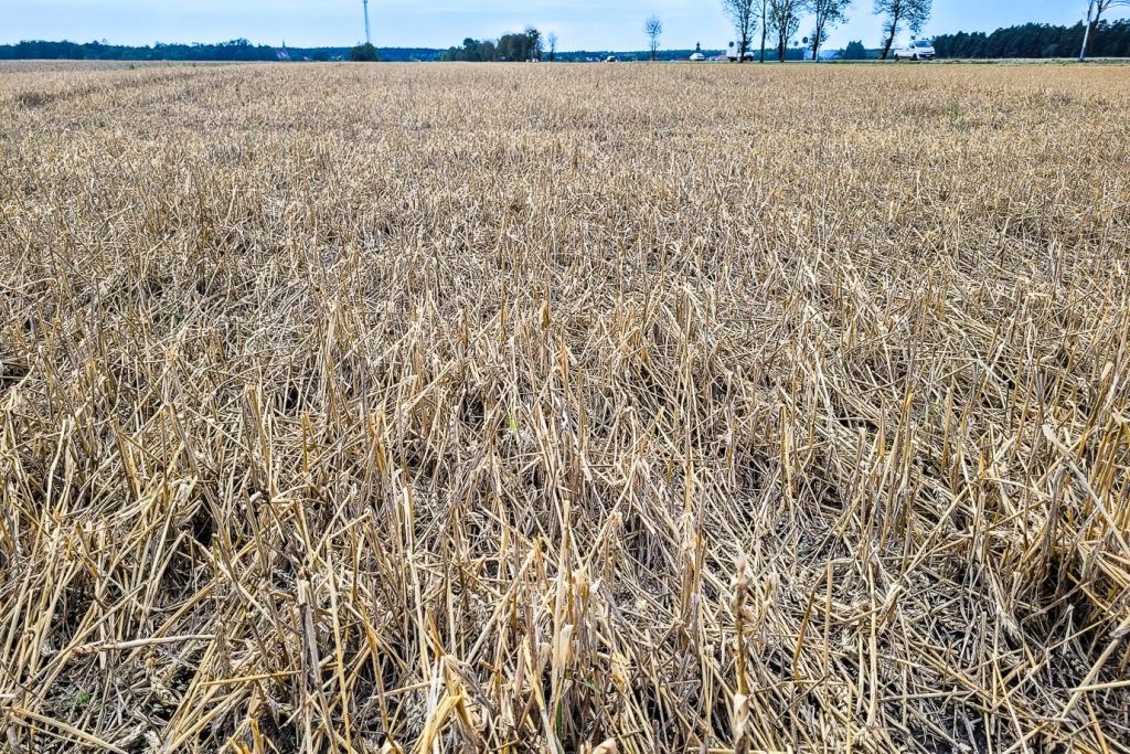 minister rolnictwa, siekierski, świętokrzyskie, rolnicy, szkody