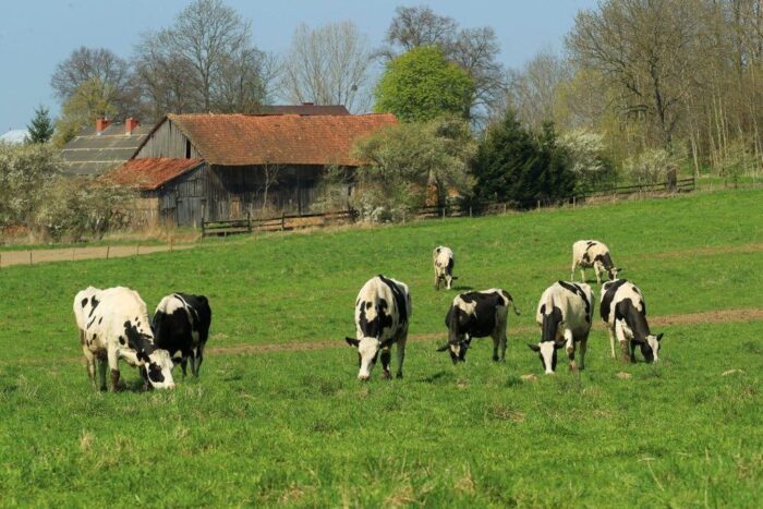 organizacje klimatyczne, komisja europejska, ke, rolnictwo