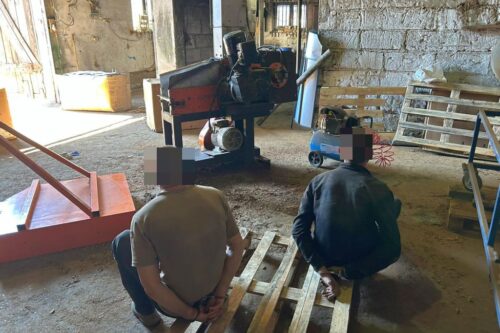 gospodarstwo, tytoń, nielegalny tytoń, krajanka tytoniowa