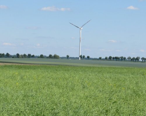 bitwa po komarowem, wniosek, rejestr zabytków, ochrona konserwatorska