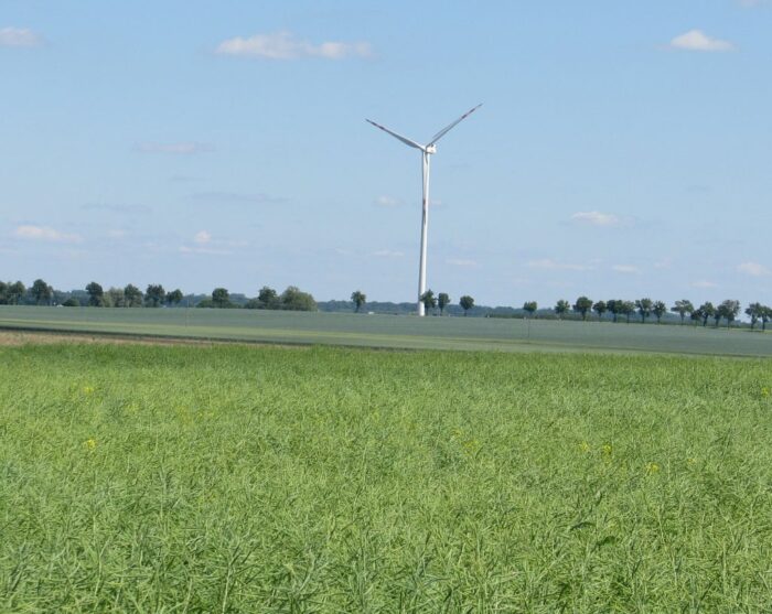 bitwa po komarowem, wniosek, rejestr zabytków, ochrona konserwatorska