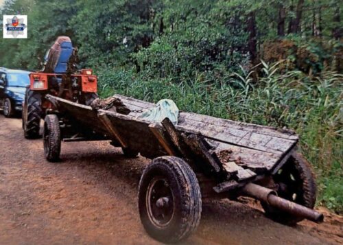 kłusownictwo, kłusownicy, ryby, nielegalny połów