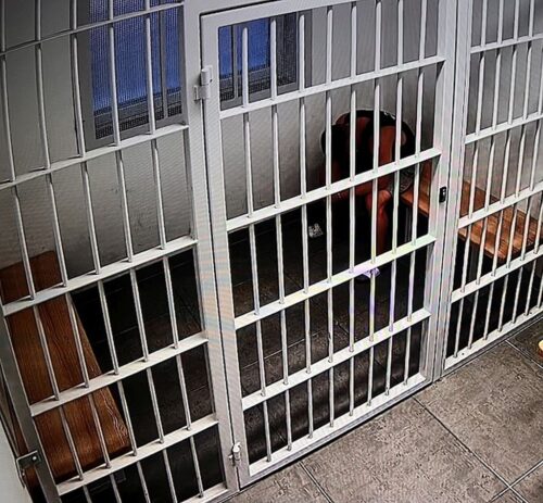 dożynki, impreza dożynkowa, agresor, areszt