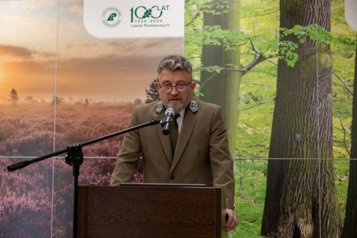 lasy państwowe, koss, drewno, pozyskanie drewna