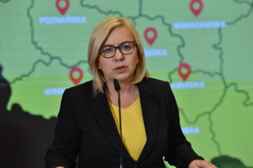 minister klimatu, hennig-kloska, lasy, drewno