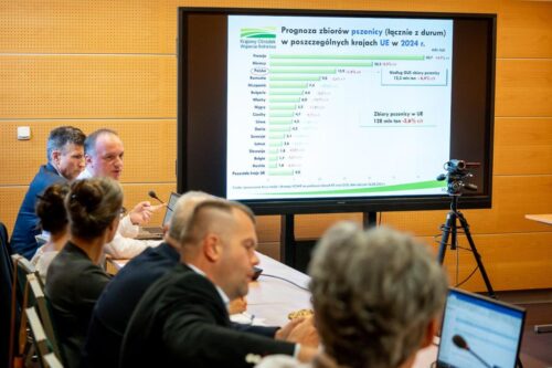 mrirw, monitoring rynku zbóż, rynek zbóż, zbiory zbóż