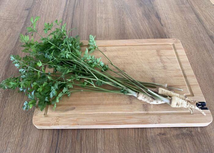 piorin, wirus, zagrożenie, pietruszka, uprawa pietruszki