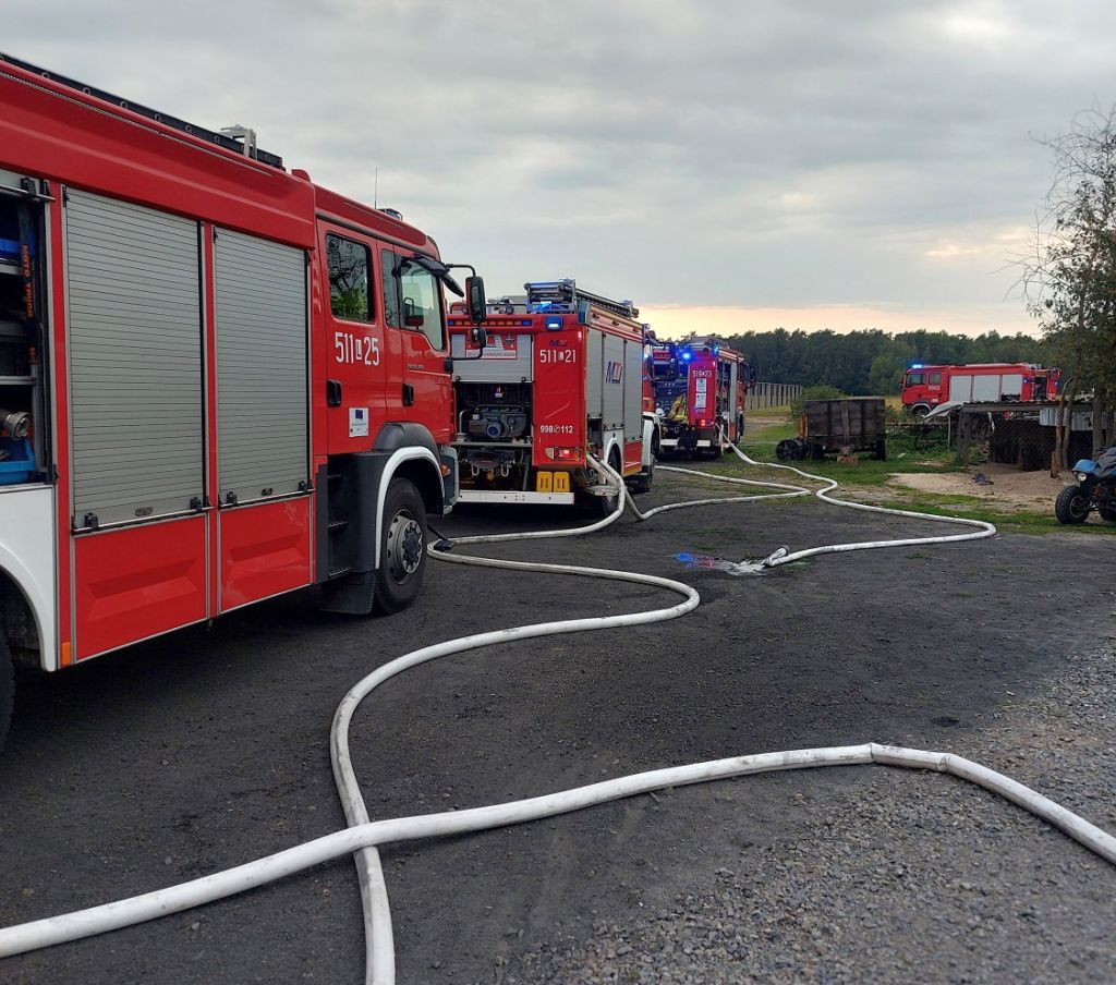 pożar, kurnik, budynek inwentarski, kurczęta