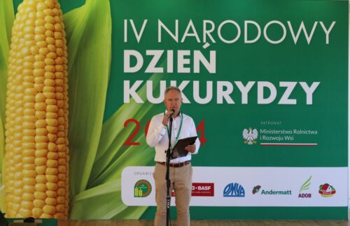 Narodowy Dzień Kukurydzy, Smolice, kiszonka z kukurydzy, ziarno kukurydzy, żywienia bydła mlecznego