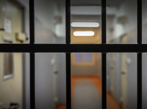 senator, pis, więzienie, kara