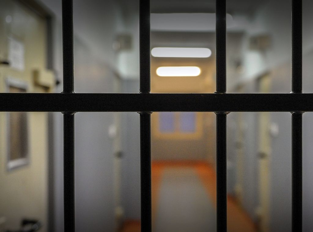 senator, pis, więzienie, kara