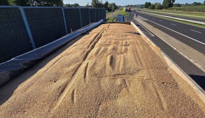 witd radom, kontrola, ciężarówka, zestaw ciężarowy, zboże