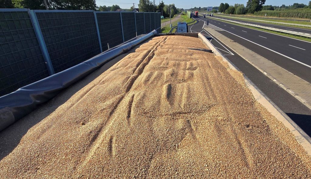 witd radom, kontrola, ciężarówka, zestaw ciężarowy, zboże