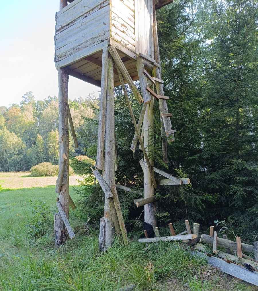 ambony myśliwskie, uszkodzone ambony, podejrzany, zatrzymanie