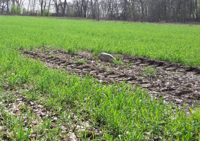 kołodziejczak, gleby, stan gleb, zakwaszanie gleb