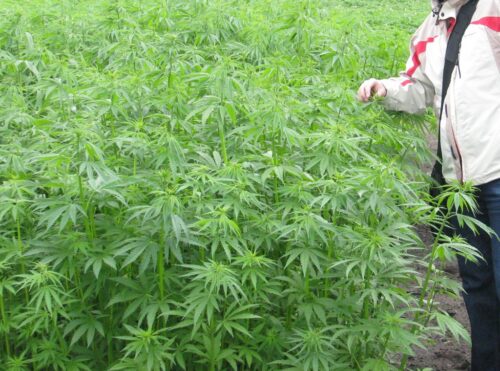 ministerstwo finansów, vat, podatek vat, stawka vat