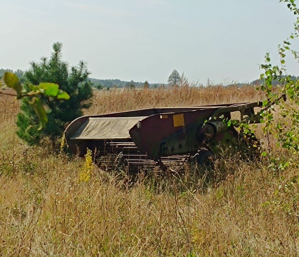 kradzież, maszyna, kopaczka, ziemniaki