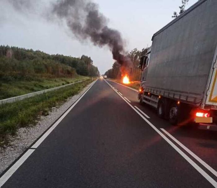 policjant, zderzenie, auto, łoś