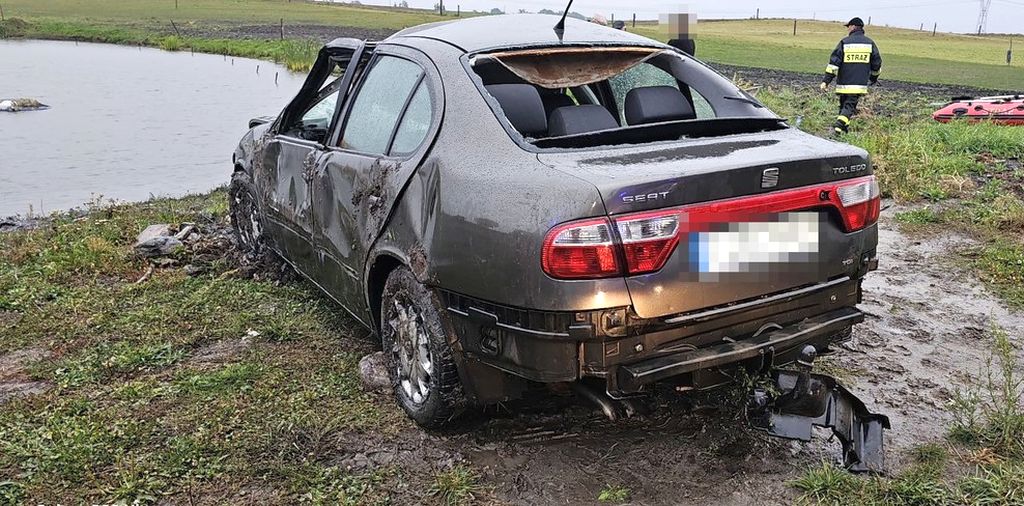 wypadek, zdarzenie drogowe, łoś, łąka
