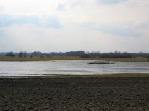 odtwarzanie przyrody, nawadnianie gruntów, torfowiska, krir