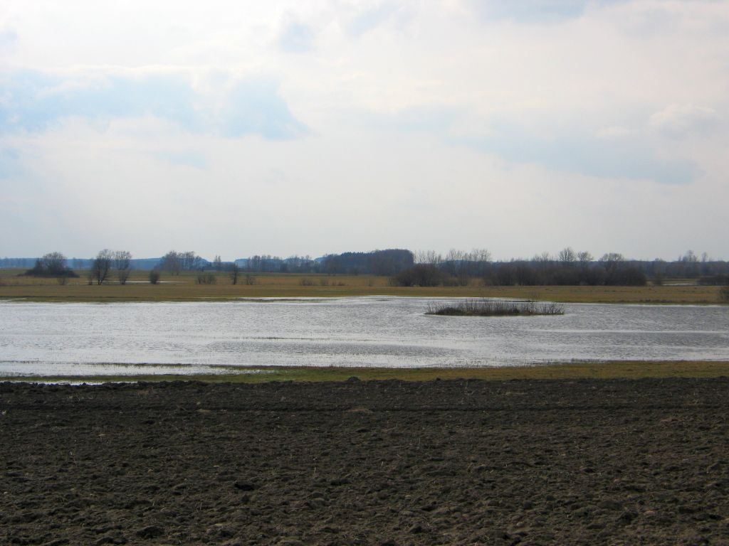 odtwarzanie przyrody, nawadnianie gruntów, torfowiska, krir