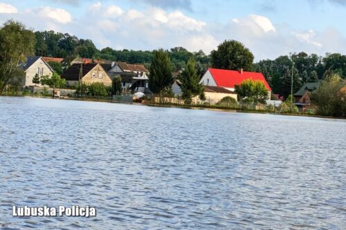 odra, woda, wojewoda, pojenie zwierząt