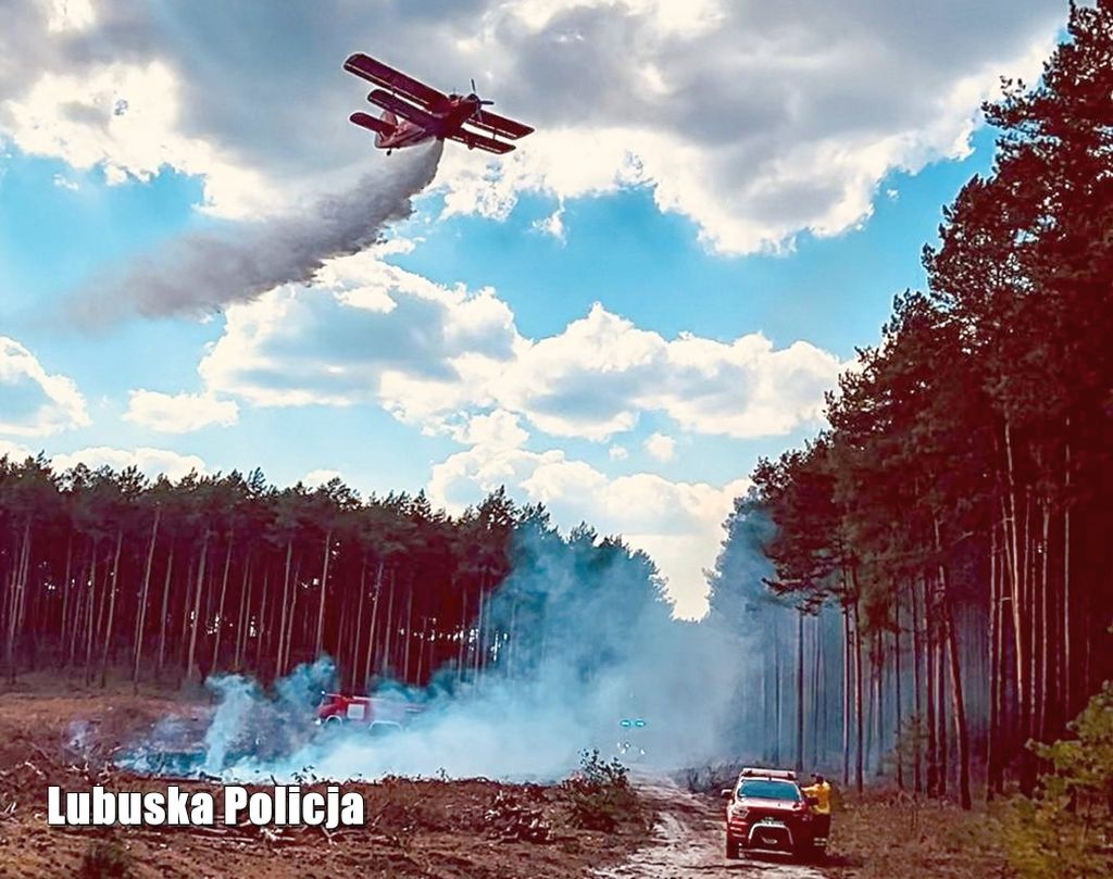 pożar lasu, akcja gaśnicza, podpalenia, podpalacz