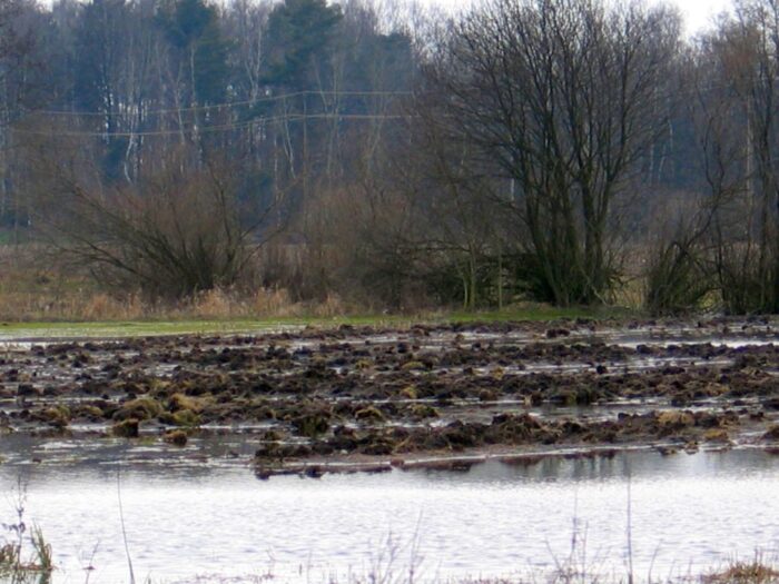 ir w opolu, powódź, podtopienia, szkody