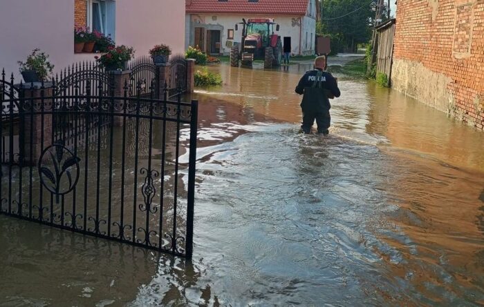 pomoc, prow, inwestycje, odtwarzanie potencjału