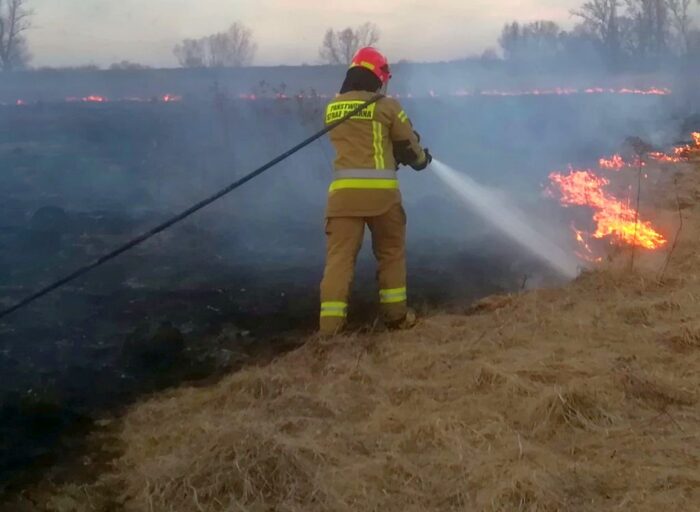 łąka, pożar trawy, wypalanie trawy, śmierć mężczyzny