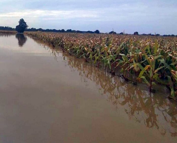 opolskie, arimr, wnioski, powódź