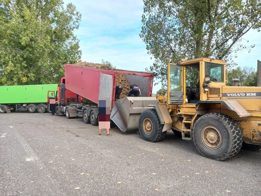 witd szczecin, kontrole, ciężarówki, transport, płody rolne