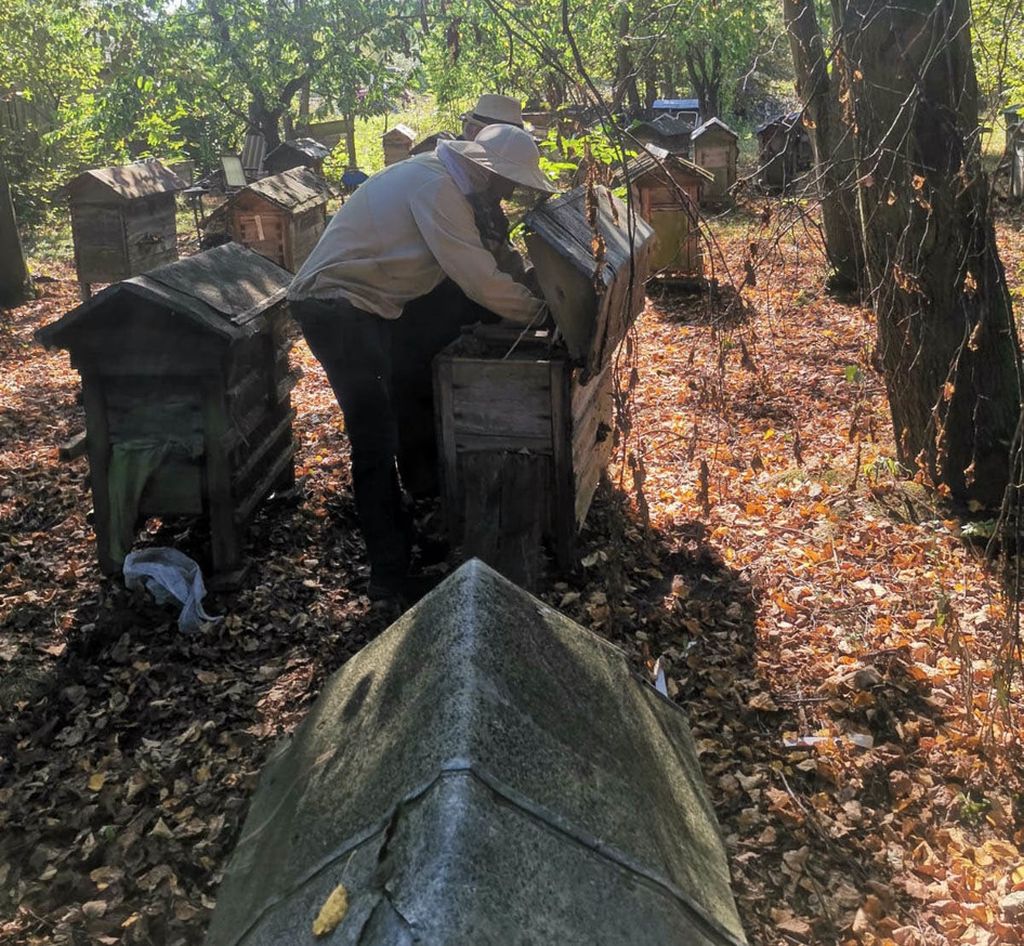 pasieka, ule, broń, naboje