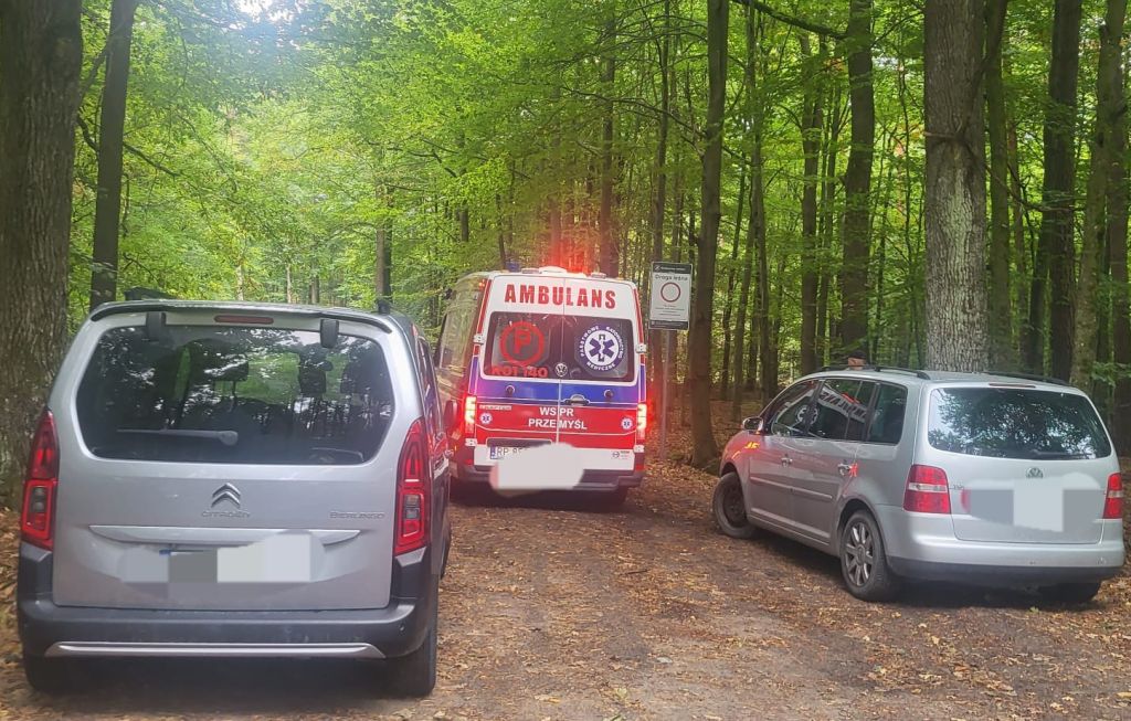 lasy, leśnicy, grzybiarze, grzybobranie