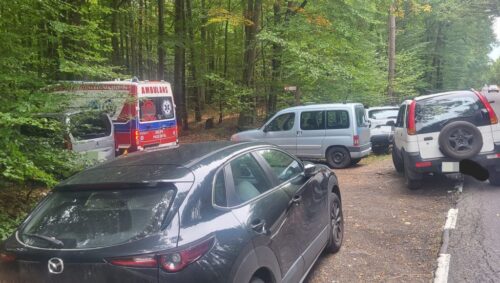 lasy, leśnicy, grzybiarze, grzybobranie