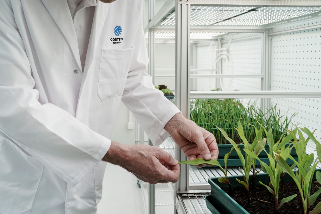 BlueN™, UtrishaN™, Corteva Agriscience, produkty biologiczne, Światowy Dzień Żywności, żywność, rolnictwo, azot