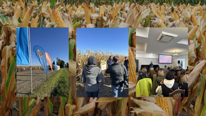 Bayer, Dekalb, kukurydza, kukurydza na ziarno, preceon, Yield Kit, Climate FieldView, biogaz, kiszonka, chwasty