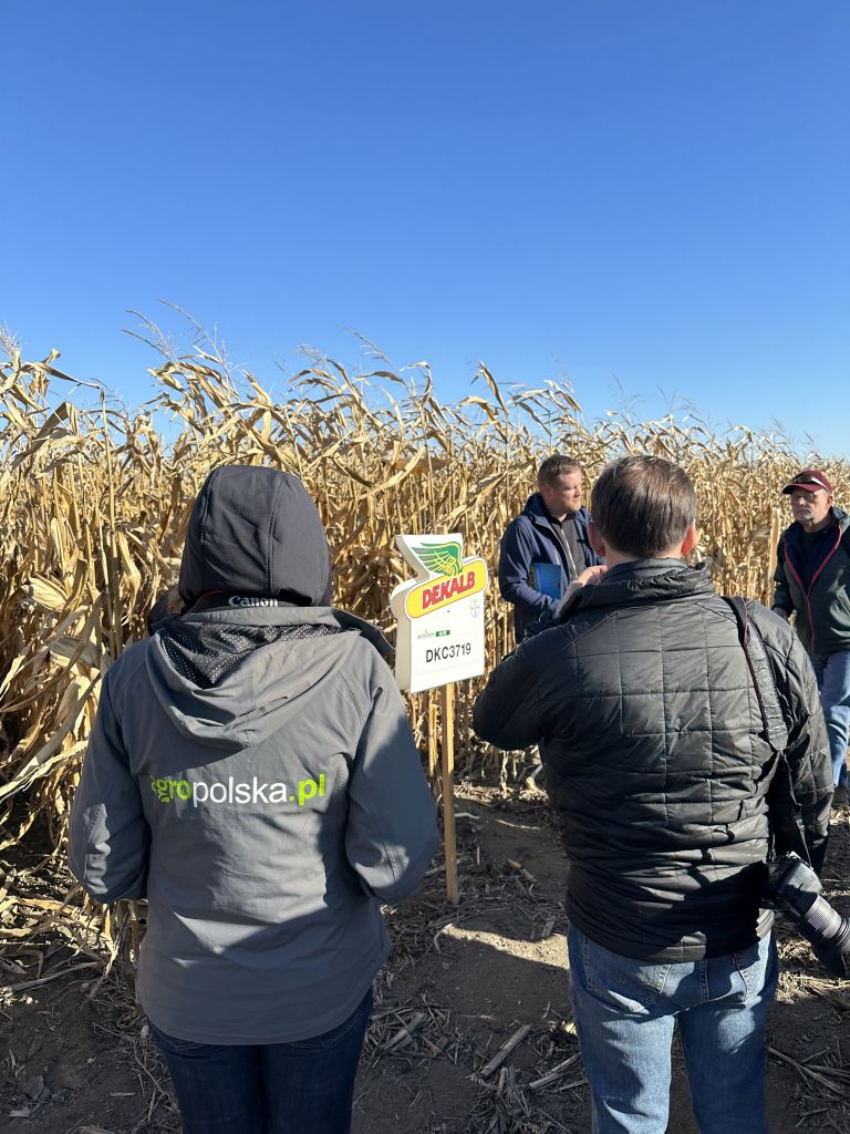 Bayer, Dekalb, kukurydza, kukurydza na ziarno, preceon, Yield Kit, Climate FieldView, biogaz, kiszonka, chwasty