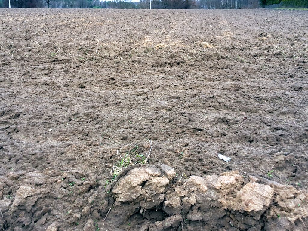 prawo, projekt, rozporządzenie, państwowy zasób, grunty, użytki rolne, dzierżawa, czynsz, czynsz dzierżawny